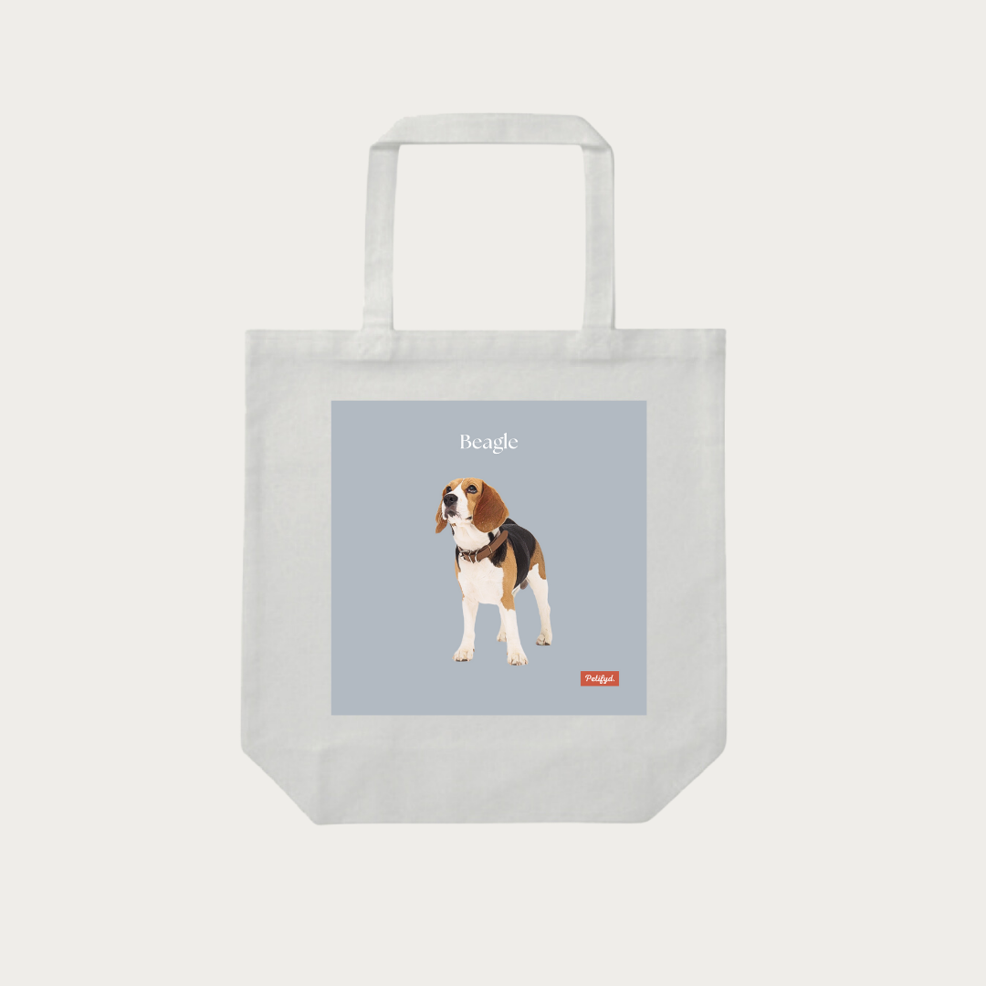 PARIS-totebag-Beagle2