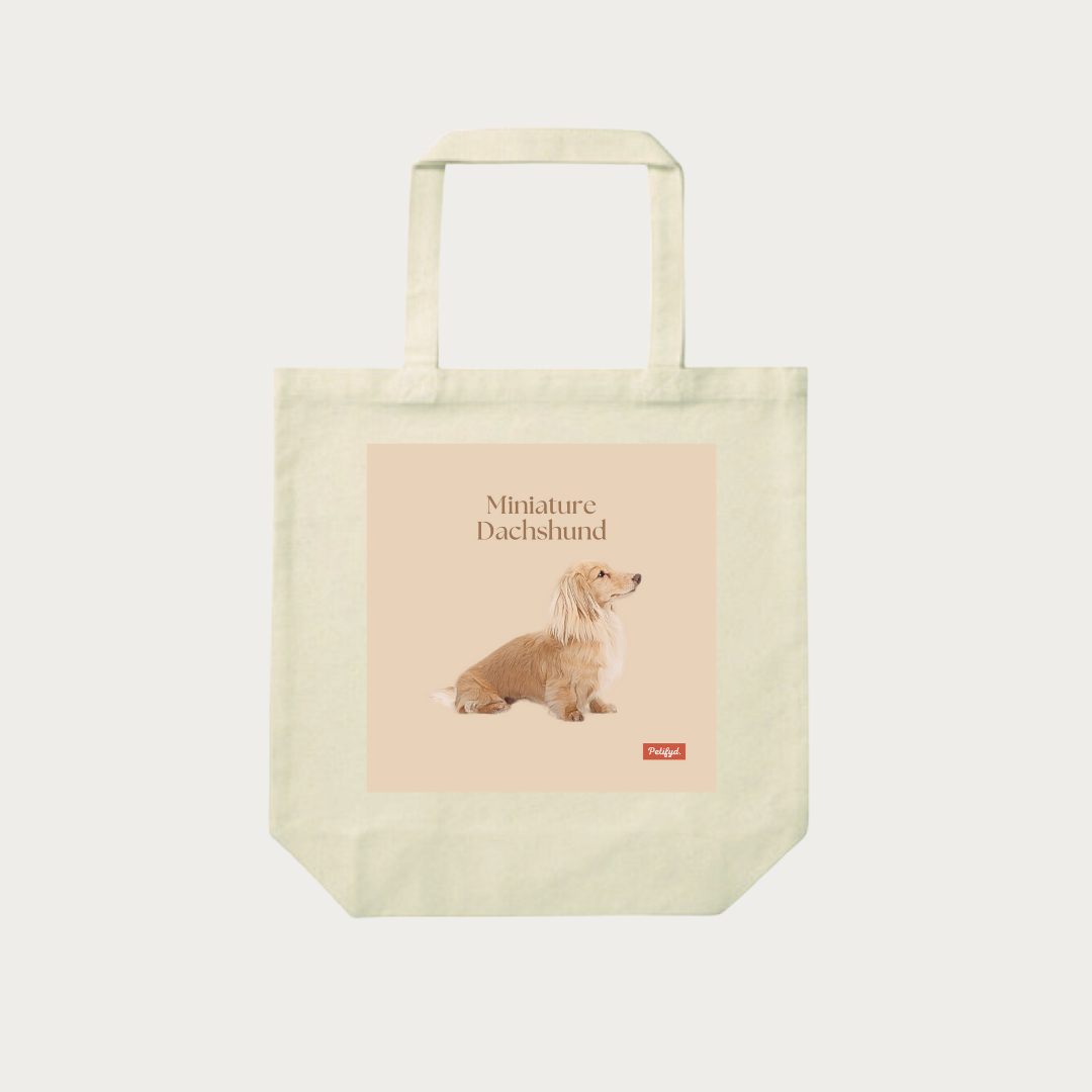 PARIS-totebag- Miniature Dachshund 3